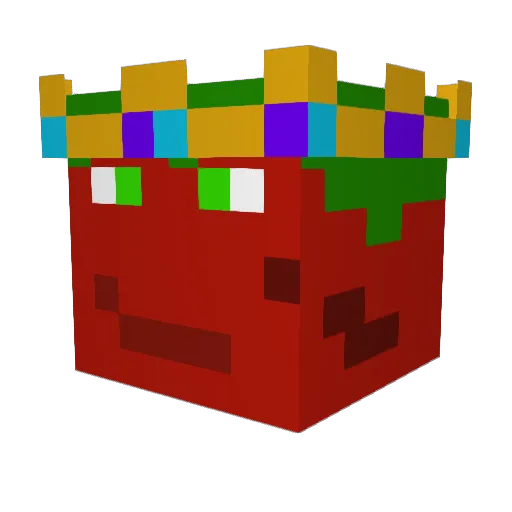 Da_Salty_Tomato Minecraft avatar head, 3D render