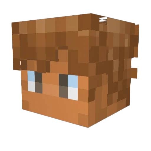 DaaBuu2 Minecraft avatar head, 3D render