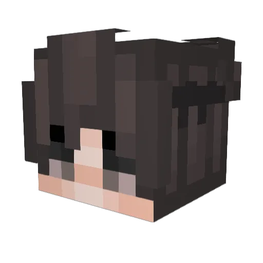 Daaanu Minecraft avatar head, 3D render