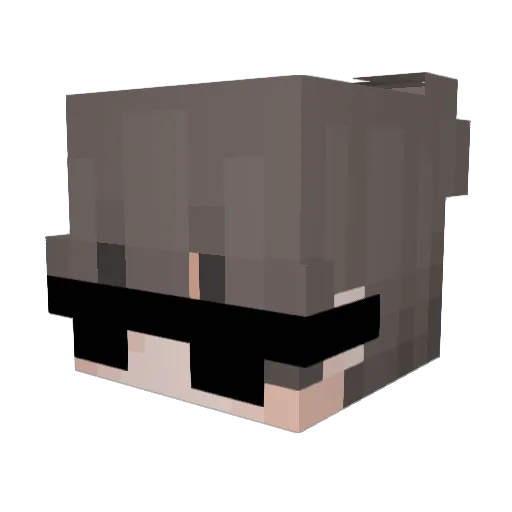 Daals_ Minecraft avatar head, 3D render