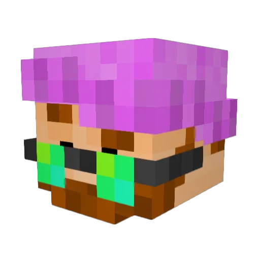DaanH2005 Minecraft avatar head, 3D render