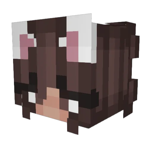 DaanLo Minecraft avatar head, 3D render