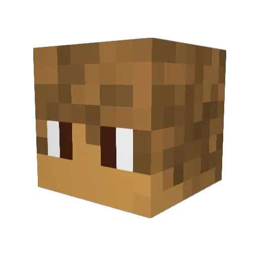 DaanRz Minecraft avatar head, 3D render