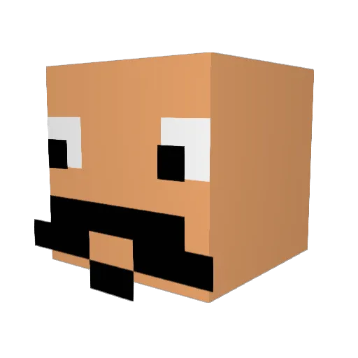 DaanV_2903 Minecraft avatar head, 3D render