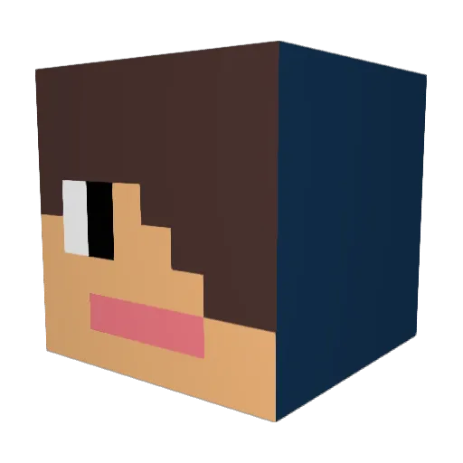Daannyy71 Minecraft avatar head, 3D render