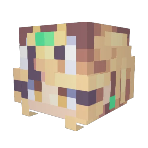 Daantje6868 Minecraft avatar head, 3D render