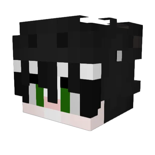 Daass Minecraft avatar head, 3D render