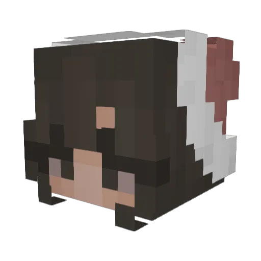 Daayu_0116 Minecraft avatar head, 3D render