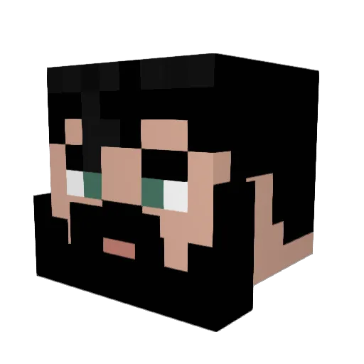 Dabeast13 Minecraft avatar head, 3D render
