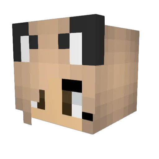Dabmister Minecraft avatar head, 3D render