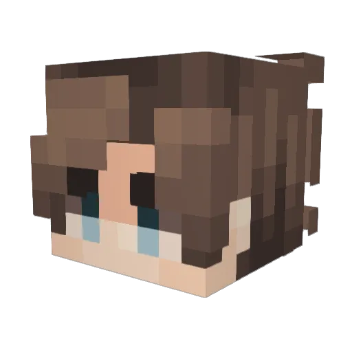 Daboat0 Minecraft avatar head, 3D render