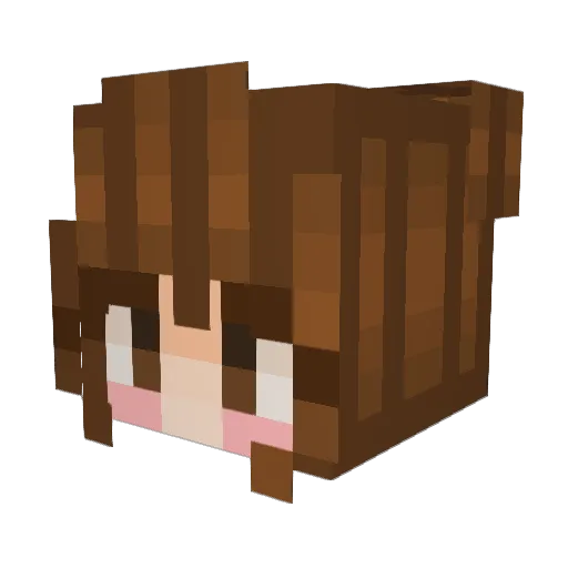 Daboi021 Minecraft avatar head, 3D render