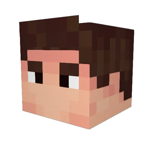 Dabrickasha Minecraft avatar head, 3D render