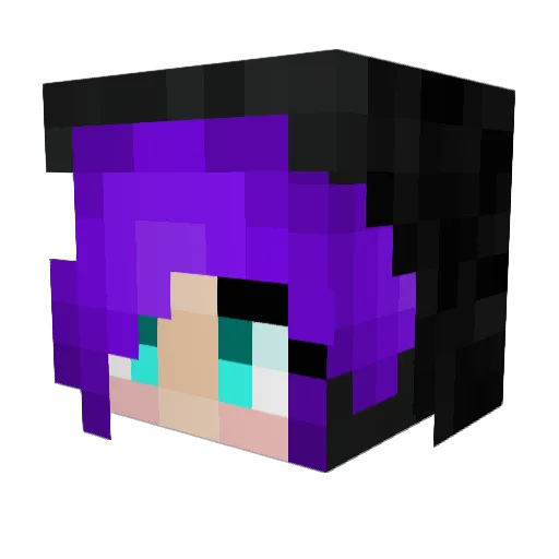 Dacendaran434 Minecraft avatar head, 3D render