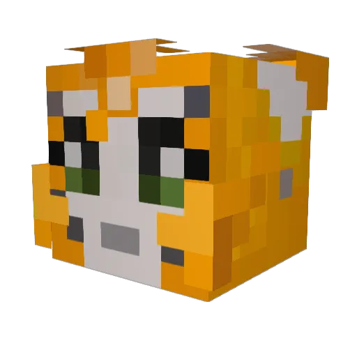 Dachamp1709 Minecraft avatar head, 3D render