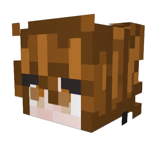 Dachbodenhexe Minecraft avatar head, 3D render