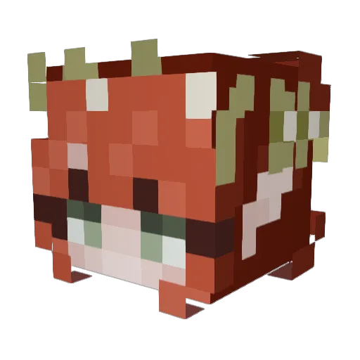 Dachribal Minecraft avatar head, 3D render