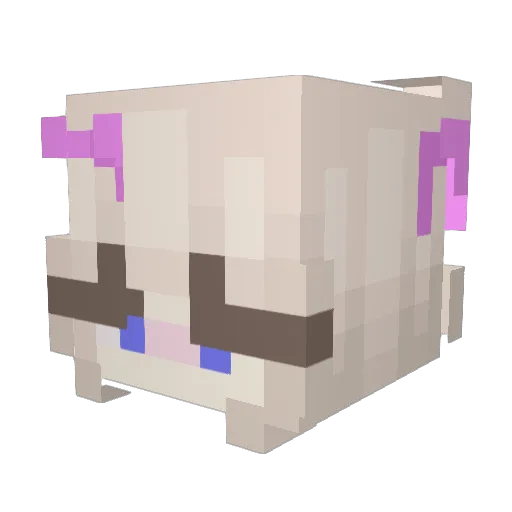 DackelOrakel Minecraft avatar head, 3D render