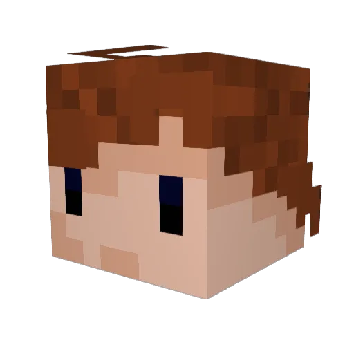 Dacolbster Minecraft avatar head, 3D render