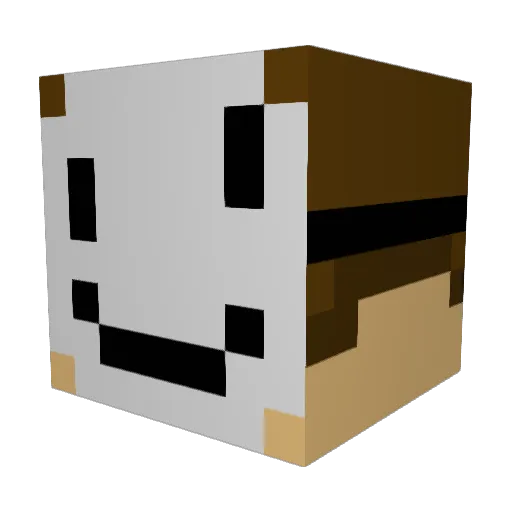 Dacoolgamer4283 Minecraft avatar head, 3D render
