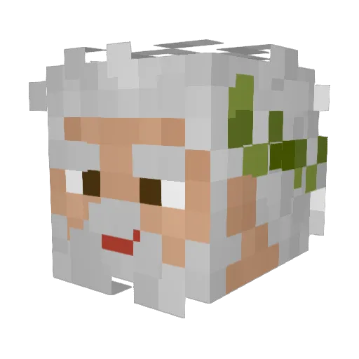 DadPhilosopher Minecraft avatar head, 3D render