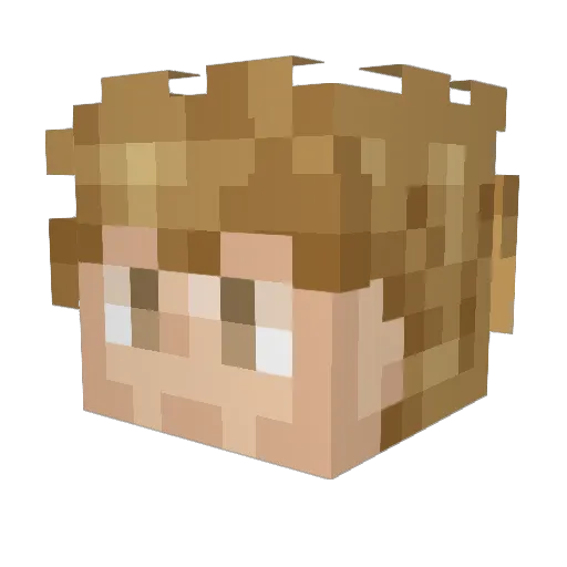 DadWilhelm Minecraft avatar head, 3D render