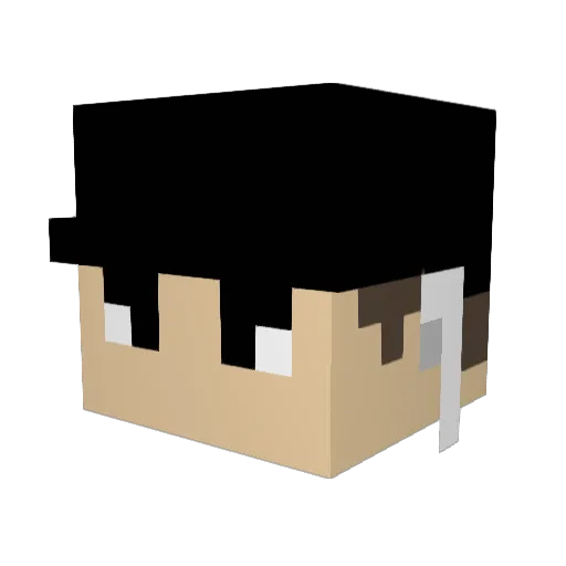 DadWithNoWords Minecraft avatar head, 3D render