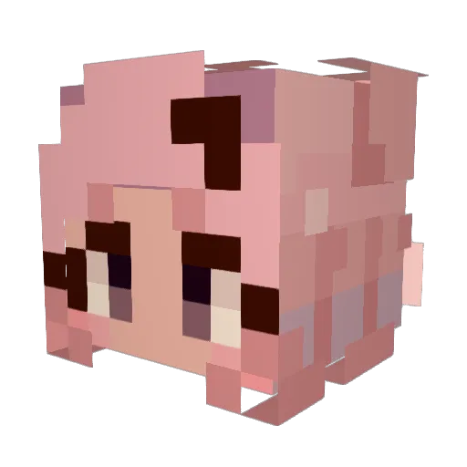 Dadanii1 Minecraft avatar head, 3D render