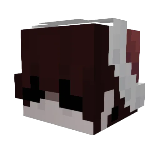 DadddyyTale Minecraft avatar head, 3D render