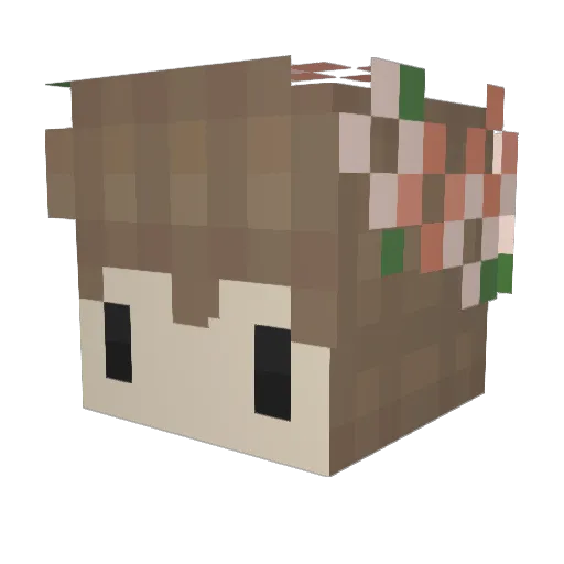 Dadduu Minecraft avatar head, 3D render