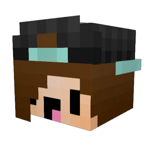Daddy1 Minecraft avatar head, 3D render