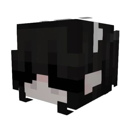 DaddyCastelo_ Minecraft avatar head, 3D render