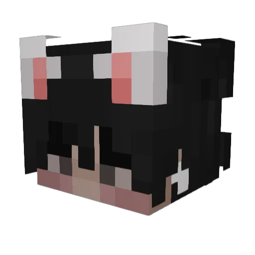 DaddyDac Minecraft avatar head, 3D render