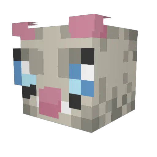 DaddyDandruff Minecraft avatar head, 3D render