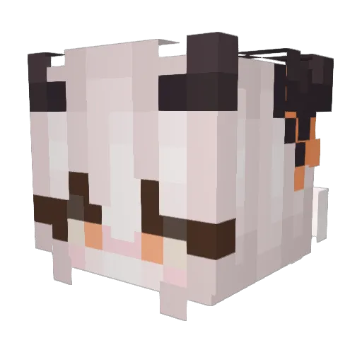DaddyDarky11_ Minecraft avatar head, 3D render