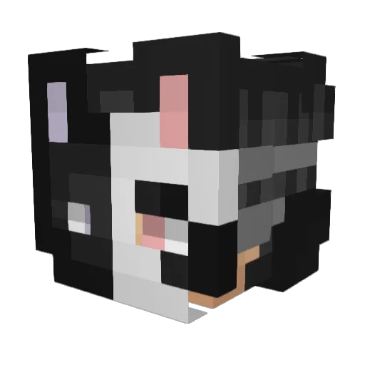 DaddyFacu Minecraft avatar head, 3D render