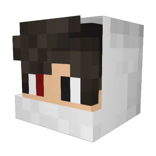 DaddyFks Minecraft avatar head, 3D render