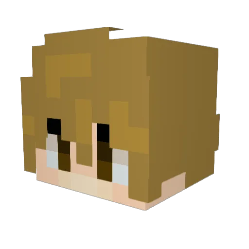 DaddyJingus Minecraft avatar head, 3D render