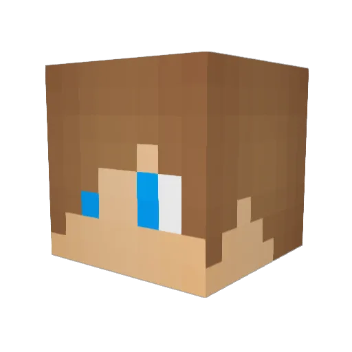 DaddyLol_NZ Minecraft avatar head, 3D render