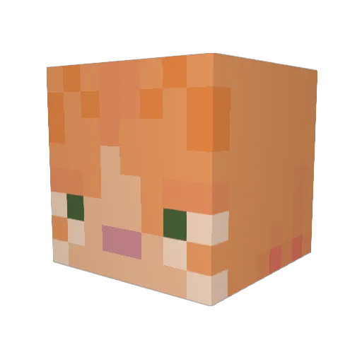 DaddyOatmeal777 Minecraft avatar head, 3D render
