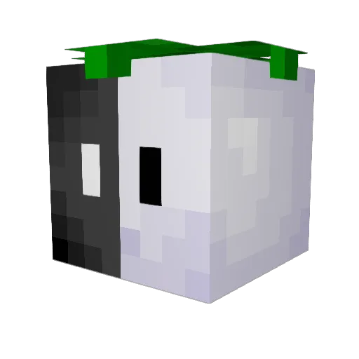 DaddySwampie Minecraft avatar head, 3D render