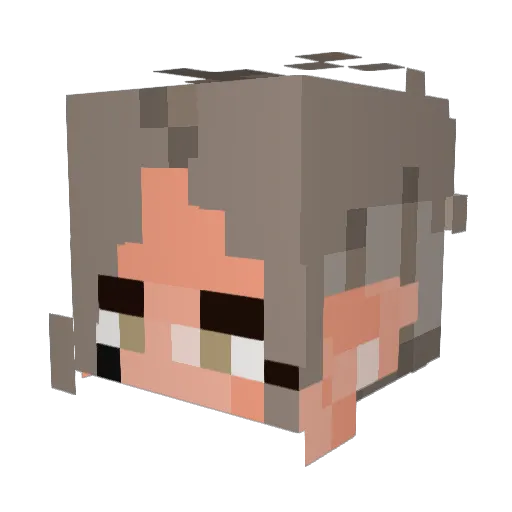Daddy_Cranberry Minecraft avatar head, 3D render