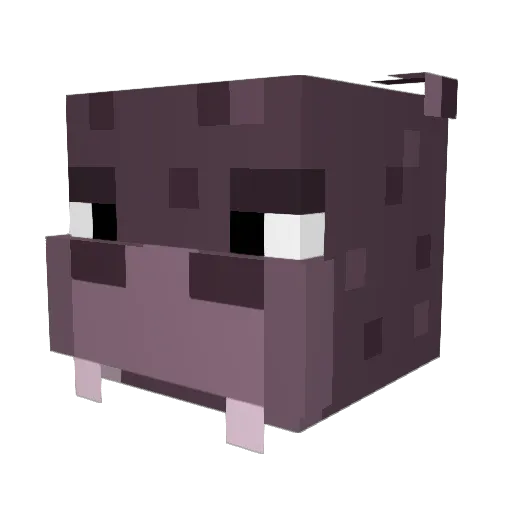 Daddy_Duck47 Minecraft avatar head, 3D render