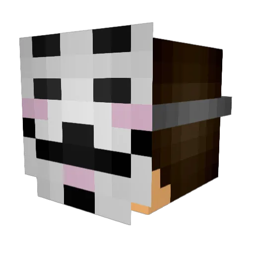 Daddy_Frank Minecraft avatar head, 3D render