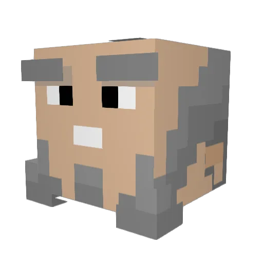 Daddy_Iroh69 Minecraft avatar head, 3D render