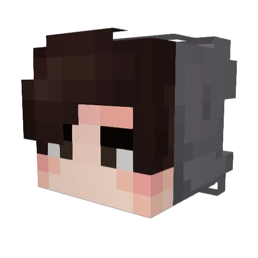 Daddyinthegame Minecraft avatar head, 3D render