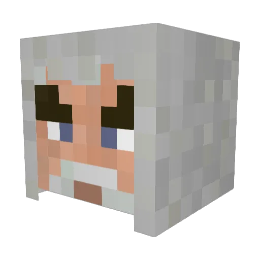 Daddyrongregs Minecraft avatar head, 3D render