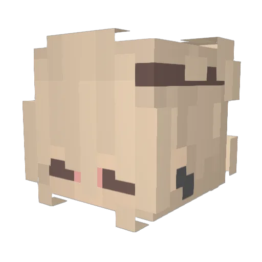 DaddysCalling Minecraft avatar head, 3D render