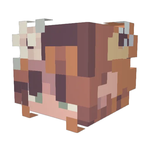 DaddysFanny Minecraft avatar head, 3D render