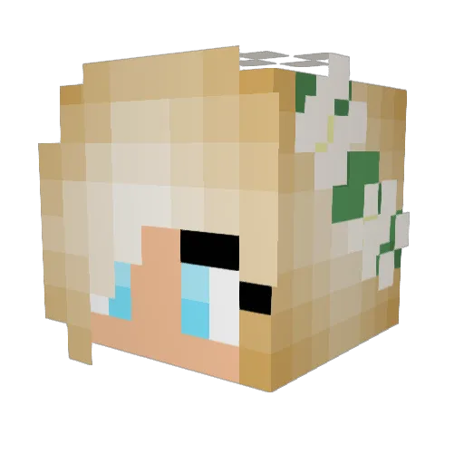 Daddysosa2727 Minecraft avatar head, 3D render